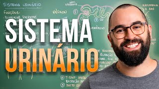 Sistema Excretor URINÁRIO  Aula 30  Módulo 7 Fisiologia Humana [upl. by Sarad]