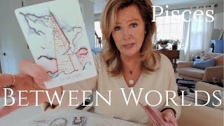 PISCES  TOTAL Transformation  You ARE Between Worlds  November 2024 Zodiac Tarot Reading [upl. by Eelidnarb]