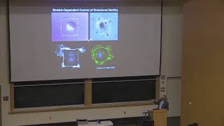 2018 Distinguished Lecture in Bioengineering  Dr Donald Ingber [upl. by Euf222]