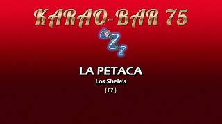 Los Sheles LA PETACA KARAOKE HD cumbia acelerada [upl. by Neltiak838]