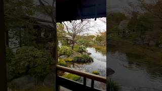 ASMR at Kokoen Garden in Himeji japanesegarden himeji [upl. by Ayyidas]