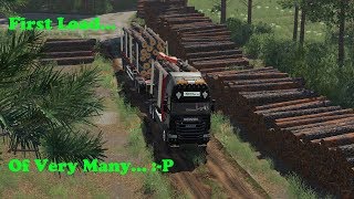 FS19  Forestry On Holmåkra  First Load  Timelapse  S02 EP22 [upl. by Cohen]