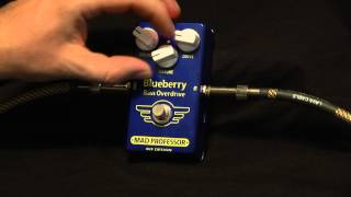 Mad Professor Blueberry Bass Overdrive pedal demo by Bass Club Chicago [upl. by Sang]