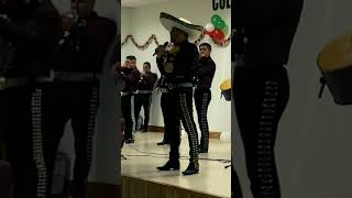 El Rey En Vivo mariachi mexico chiapas chiapasmexico envivo cantante reels [upl. by Yffat804]