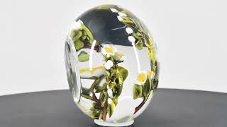 Glass Paperweight Auction 88 Lot 181 [upl. by Nlocnil286]