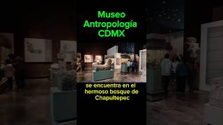 👌 Museo Antropológico Ciudad de México 🇲🇽 [upl. by Vogele]