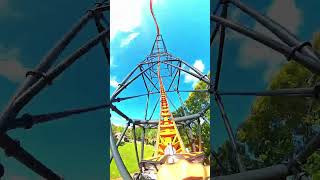 Tigris Roller Coaster at Busch Gardens Tampa Bay shorts [upl. by Amhser]