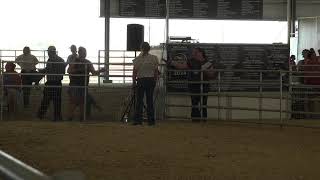 Umatilla County Fair 2024  4HFFA Breeding Stock Goats [upl. by Aicnilav]