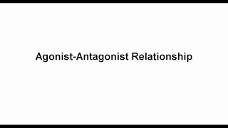 6 Agonist  Antagonist Relationship [upl. by Moazami]