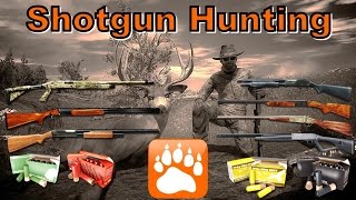 7 Shotguns Hunt  theHunter Classic 2017 [upl. by Elocel]