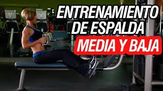 ENTRENAMIENTO DE ESPALDA MEDIA Y BAJA EN EL GYM Entrenamiento de espalda hombre y mujer [upl. by Jarrad]