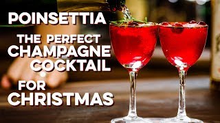 Poinsettia  How to Drink [upl. by Siriso320]