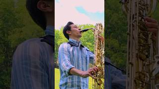 French horn solo but on a baritone sax tchaikovsky [upl. by Shing]