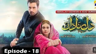 DileNadan Episode 18 Mikaal Zulfiqar Amar Khan  8th October2024  full review and teaser promo [upl. by Brenner]