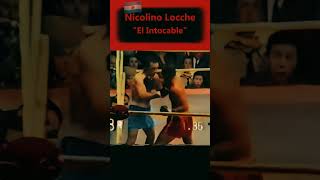 Nicolino quotEl Intocablequot Locche 🥊boxing [upl. by Yrrak]