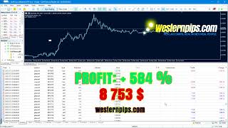 Forex brokers that allow arbitrage Profit 8k HFT Algo [upl. by Silva]