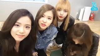 ALL SUB BLACKPINK VLIVE 20170331 [upl. by Nosac333]