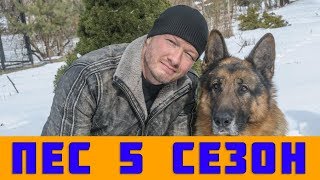 ПЕС 5 СЕЗОН 1 2 3 4 5  20 СЕРИЯ сериал 2019 Все серии анонс [upl. by Nishom933]