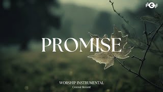 PROMISE  Soaking worship instrumental  Prayer and Devotional [upl. by Goulden]