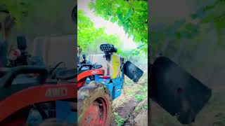 grape agriculturalsystem farminglifeinanotherworld farmingmethod [upl. by Enelhtac734]