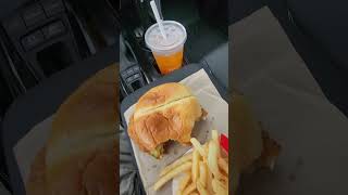 McDonalds Spicy McCrispy Combo Review Part 4 foodshorts mcdonalds chicken [upl. by Nodnarg668]