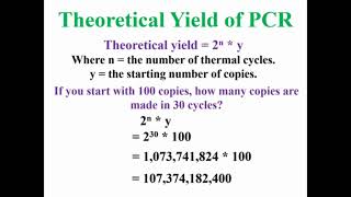 Theoretical Yield of PCR Animation [upl. by Ecertal966]