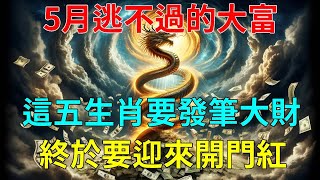 大難已過 好運降臨！5月逃不過的大富！這五生肖要發筆大財！就在五月！終於要迎來開門紅！太准了！有錢！有權！有貴人！尤其是這個屬相！！ [upl. by Boor]