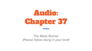 Chapter 37 Maze Runner Audio [upl. by Leakim]