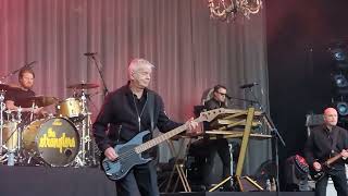 The Stranglers Toiler On The Sea Caldicot Castle 08062024 [upl. by Nhar]