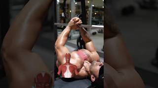 INNER CHEST WORKOUT  Targeted Exercise for a Stronger Chest [upl. by Halyhs]