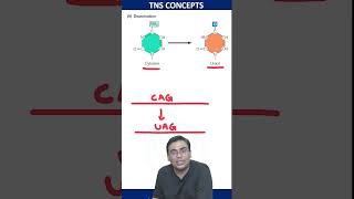 Deamination Of Cytosine  molecularbiology csirnet lifescience [upl. by Urial]