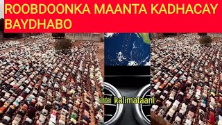 Roobdoonkii baydhabo Janaayo ee maanta 3 Novembar [upl. by Tuhn]