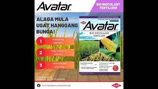 Avatar bio inoculant fertilizer for any kind of plants try this product agriculture [upl. by Allista]