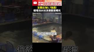 宜蘭近海57強震 蝦場池水如浪潮畫面曝光 ChinaTimes Shorts 地震 釣蝦場 池水 顧客 極淺層地震 宜蘭 臺灣 台北 新北 震央 氣象署 氣象局 [upl. by Jorge]