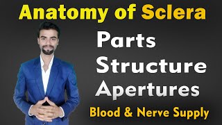 Sclera Anatomy in Hindi  Parts Structure amp Apertures of Sclera  Abhishek insight [upl. by Yenal108]