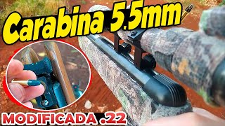 Carabina de pressão 55mm modificada pra munição 22lr  SCOPECAM [upl. by Ebner342]