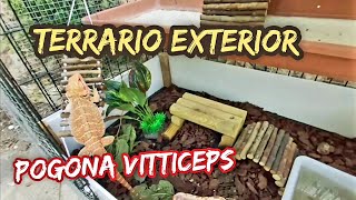 terrario exterior pogona vitticeps dragon barbudo [upl. by Ennayllek219]