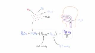 Alveolar gas equation [upl. by Koo]