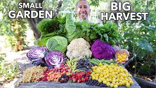 Amazing Garden Harvest on 19th an Acre This is Organic Gardening [upl. by Doble]