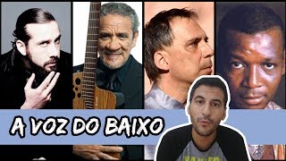 TIPOS DE VOZ A VOZ DO BAIXO [upl. by Sumedocin]