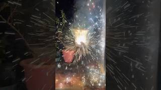 Crackers Testing Video Diwali Crackers crackerstesting crackers [upl. by Aneleh]