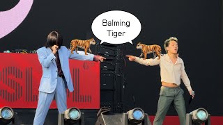 log 🐅 Balming Tiger 바밍타이거  Kolo Kolo Buriburi 섹시느낌 SOS  SLSL 2024 [upl. by Lilaj]