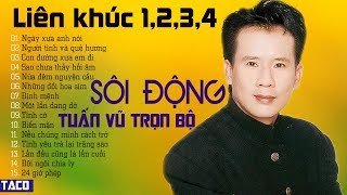 LK NGÀY XƯA ANH NÓI  LK TUẤN VŨ SÔI ĐỘNG 1234 TRỌN BỘ  ĐỈNH CAO NHẠC VÀNG TRỮ TÌNH HẢI NGOẠI [upl. by Charleton]