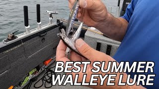 Walleye FISHING HOT Summertime BAITS [upl. by Rabaj]