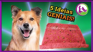 5 ideias para enriquecimento ambiental para cachorros [upl. by Yadahs884]