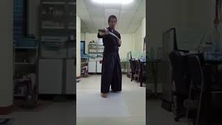 Dai Nippon Battō Hō 大日本抜刀法 9 kata uncut Iaido at home [upl. by Isma]