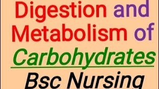 Digestion and Metabolism of carbohydrates Bsc Nursing [upl. by Nickie22]