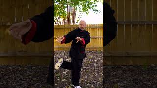 Shaolin Kung Fus Tiger Trap martialarts kungfu shaolin danielmattson [upl. by Ahsinor]