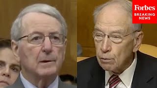 Chuck Grassley Asks Experts About Impact Of Harris’s Proposed 25000 Down Payment Assistance [upl. by Hcaz760]