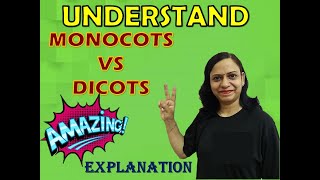 Differences between MONOCOTS and DICOTS [upl. by Inalaek]